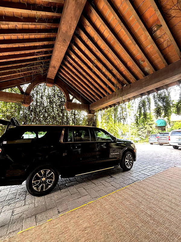 ally1renee image ~ Altpins