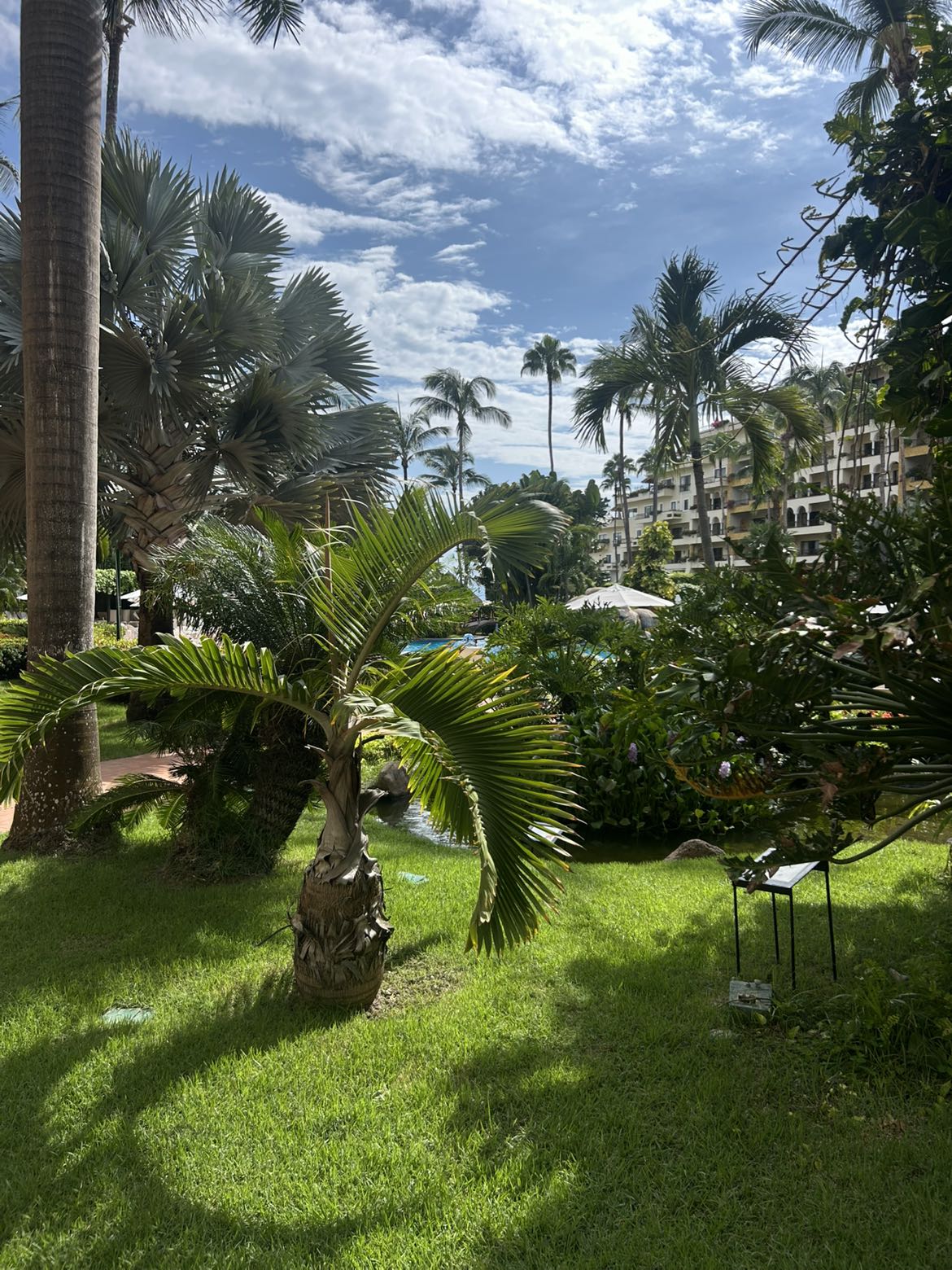 ally1renee snapchat image archive image