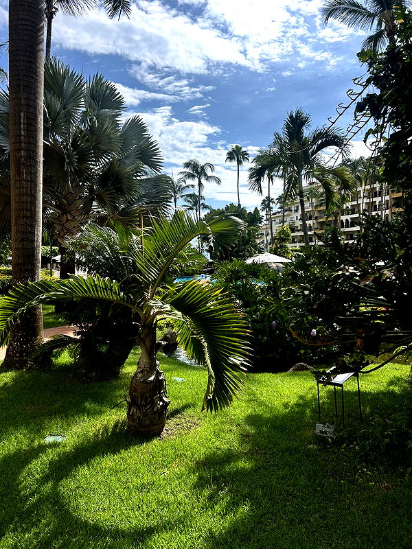 ally1renee image ~ Altpins