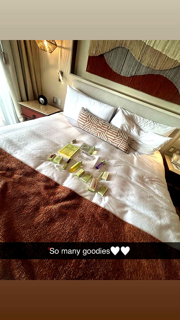 ally1renee image ~ Altpins