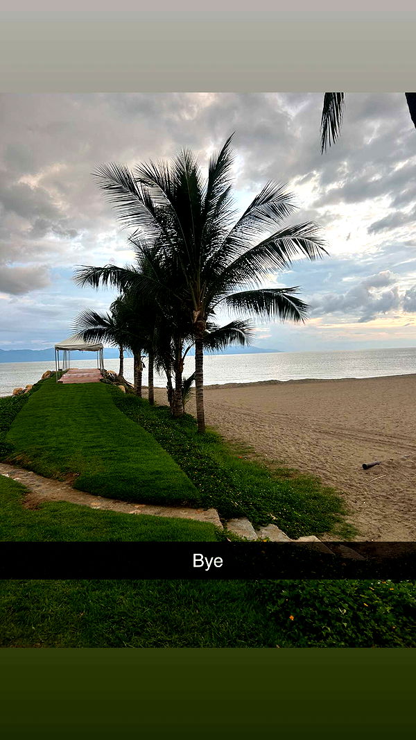 ally1renee image ~ Altpins