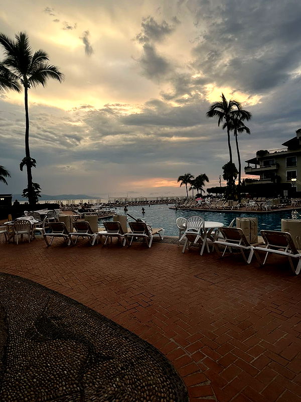 ally1renee image ~ Altpins