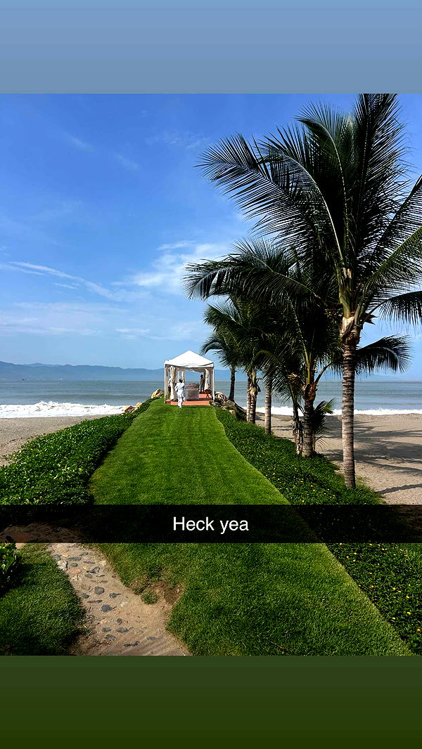 ally1renee image ~ Altpins