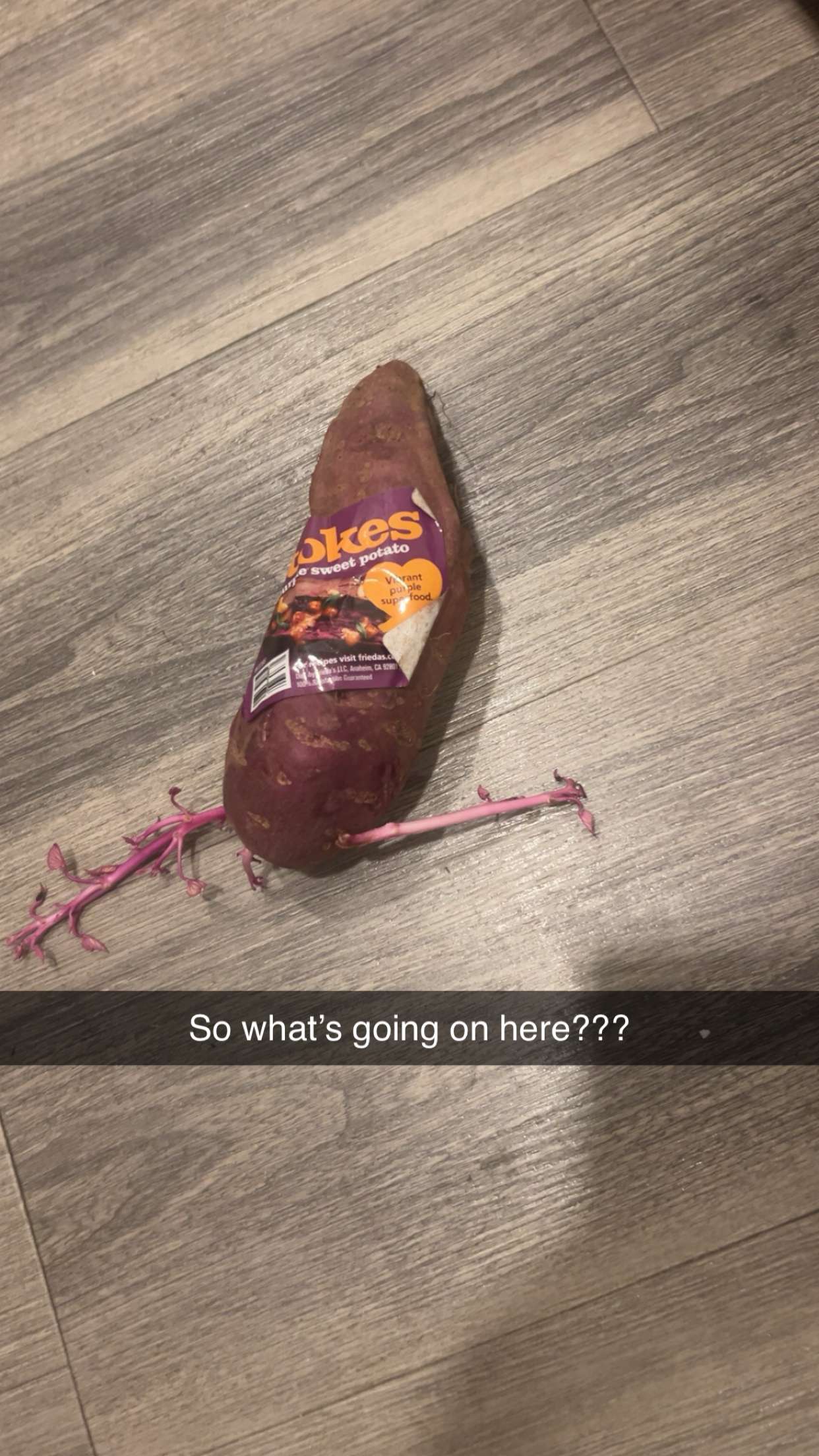 ally1renee snapchat image archive image