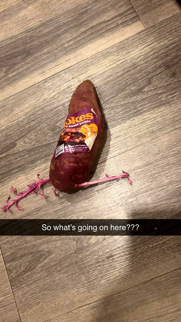 ally1renee image ~ Altpins