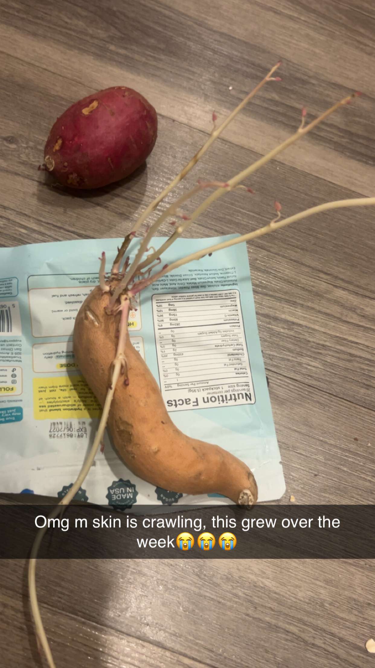 ally1renee snapchat image archive image