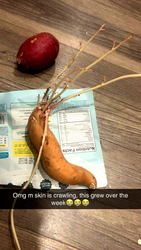 ally1renee image ~ Altpins