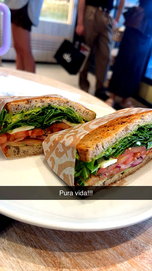 ally1renee image ~ Altpins