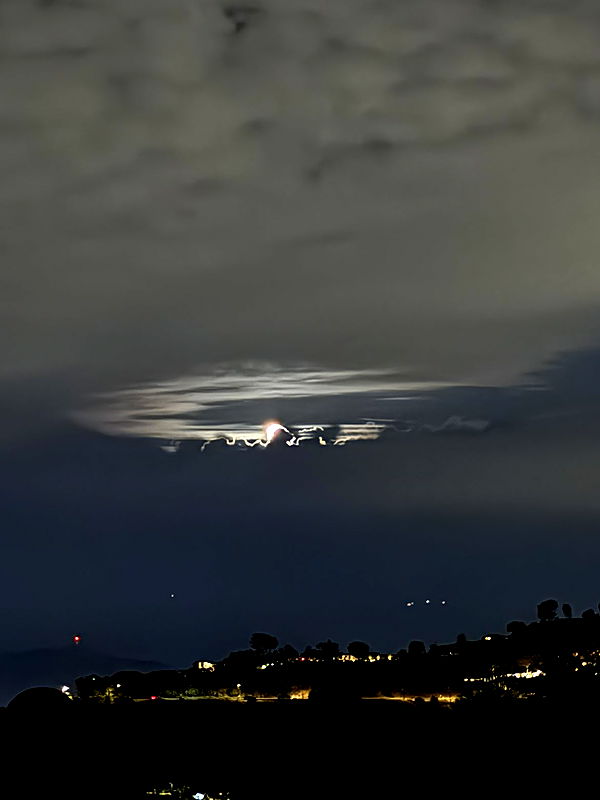 ally1renee image ~ Altpins