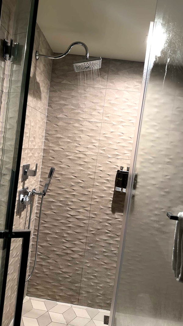 ally1renee image ~ Altpins