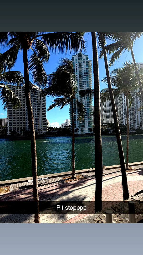 ally1renee image ~ Altpins