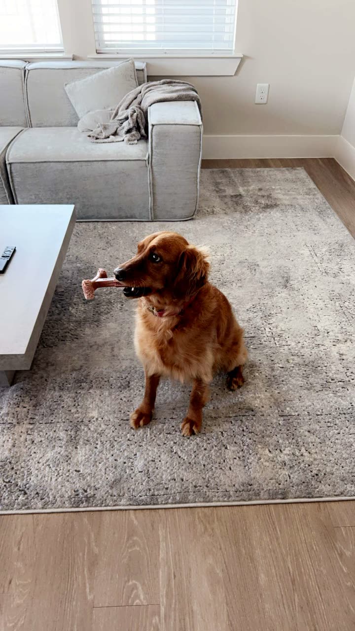 ameliabfit snapchat image archive image