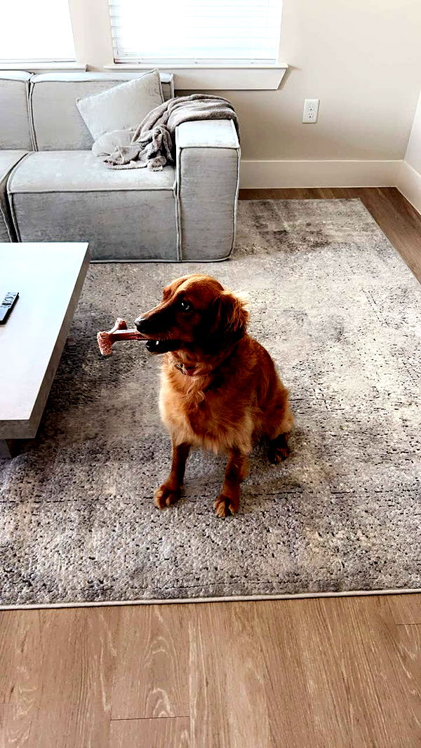 ameliabfit image ~ Altpins