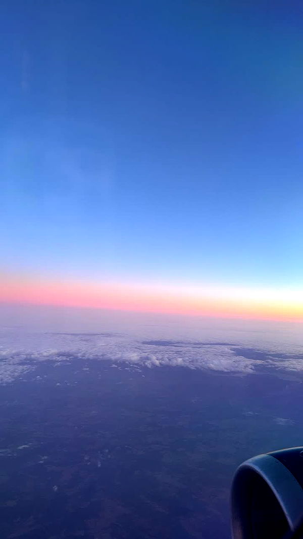 ameliabfit image ~ Altpins