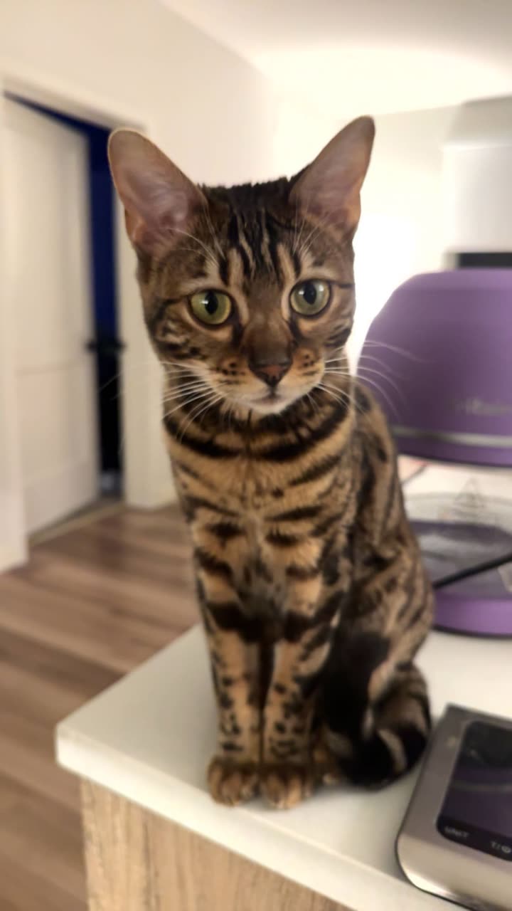 ameliabfit snapchat image archive image