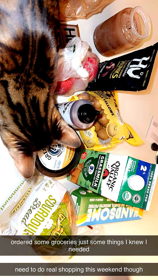 ameliabfit image ~ Altpins