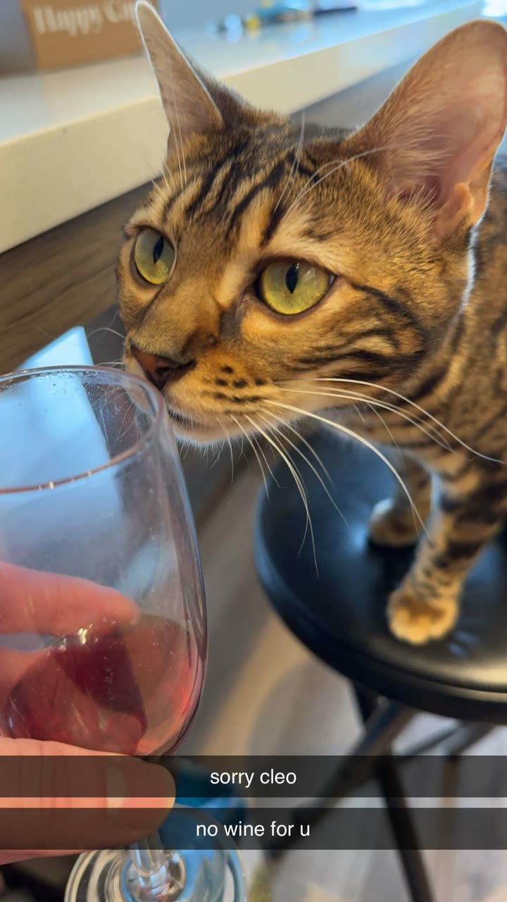 ameliabfit snapchat image archive image