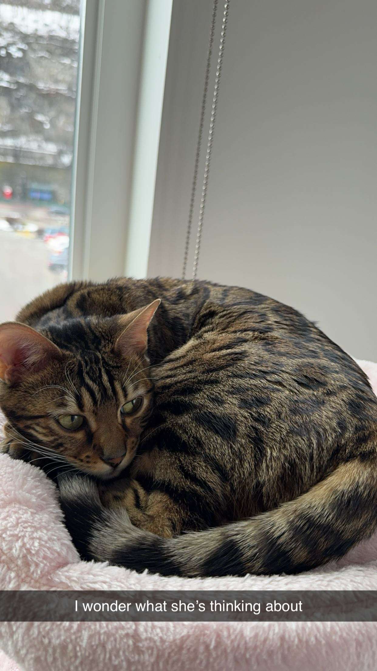 ameliabfit snapchat image archive image