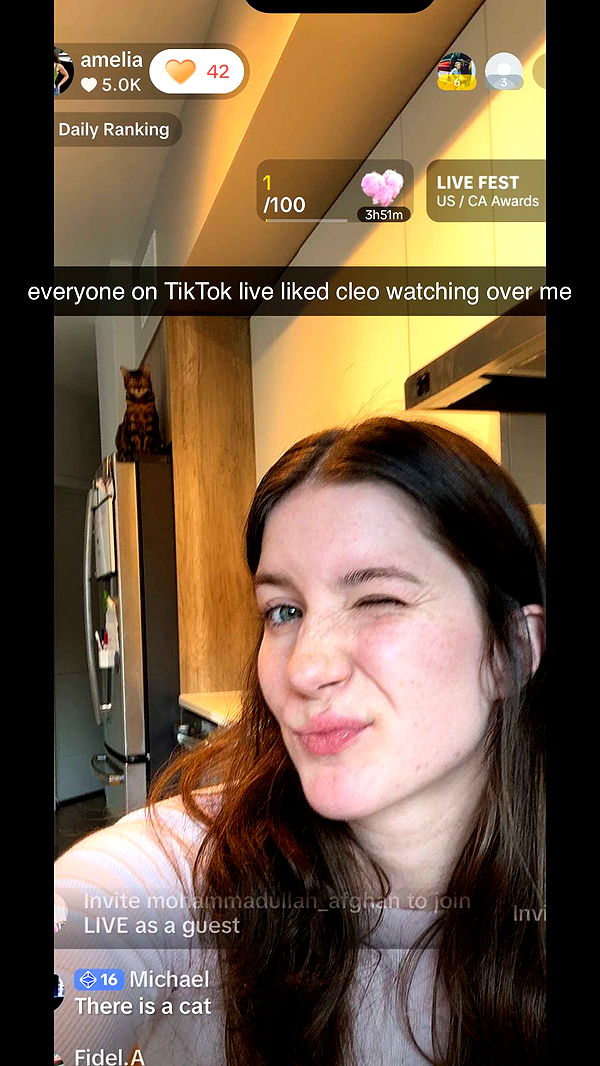 ameliabfit image ~ Altpins