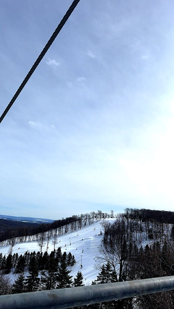 ameliabfit image ~ Altpins