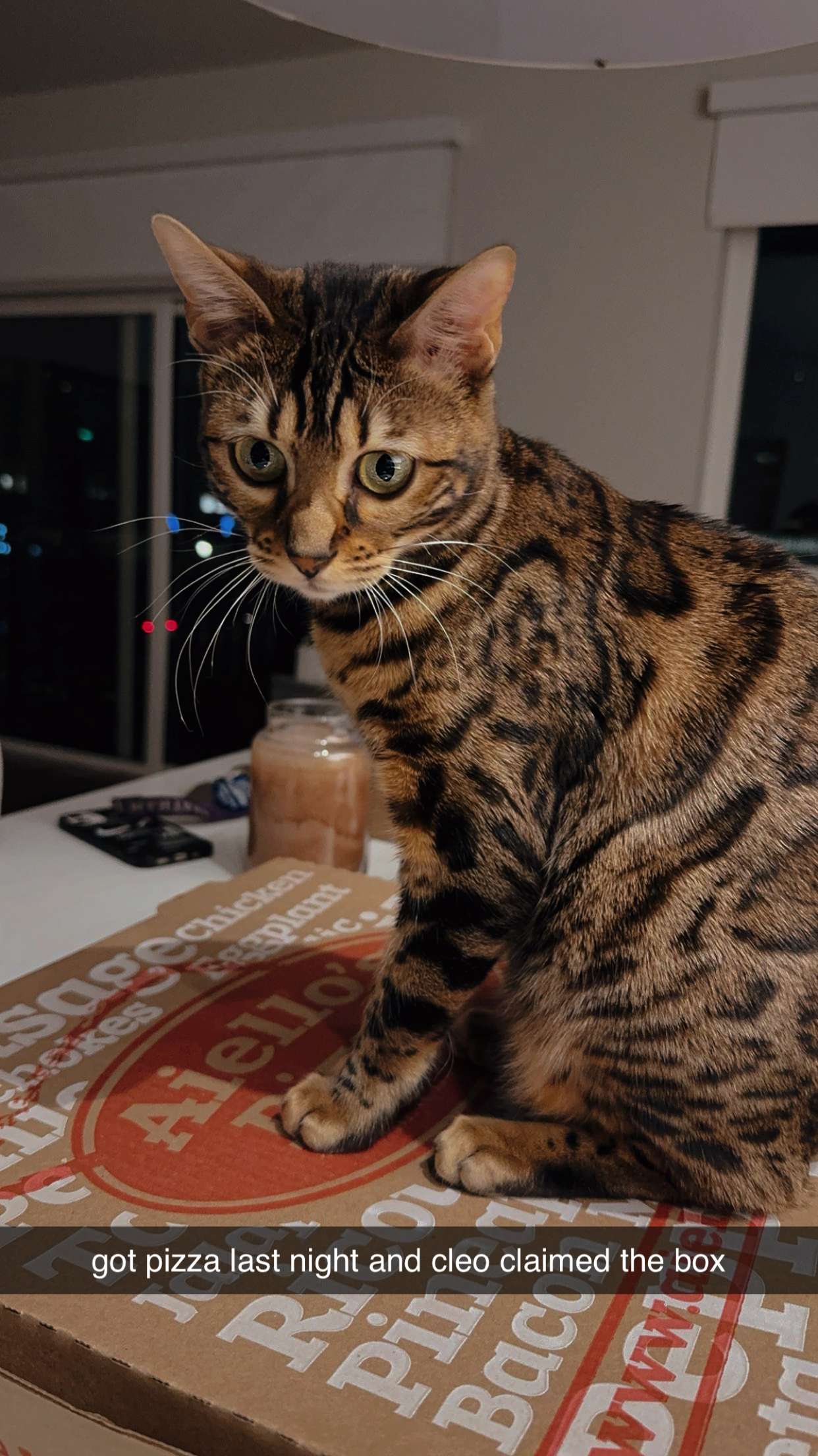 ameliabfit snapchat image archive image