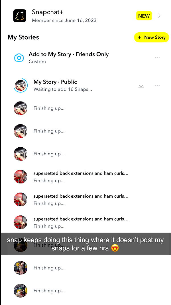 ameliabfit image ~ Altpins