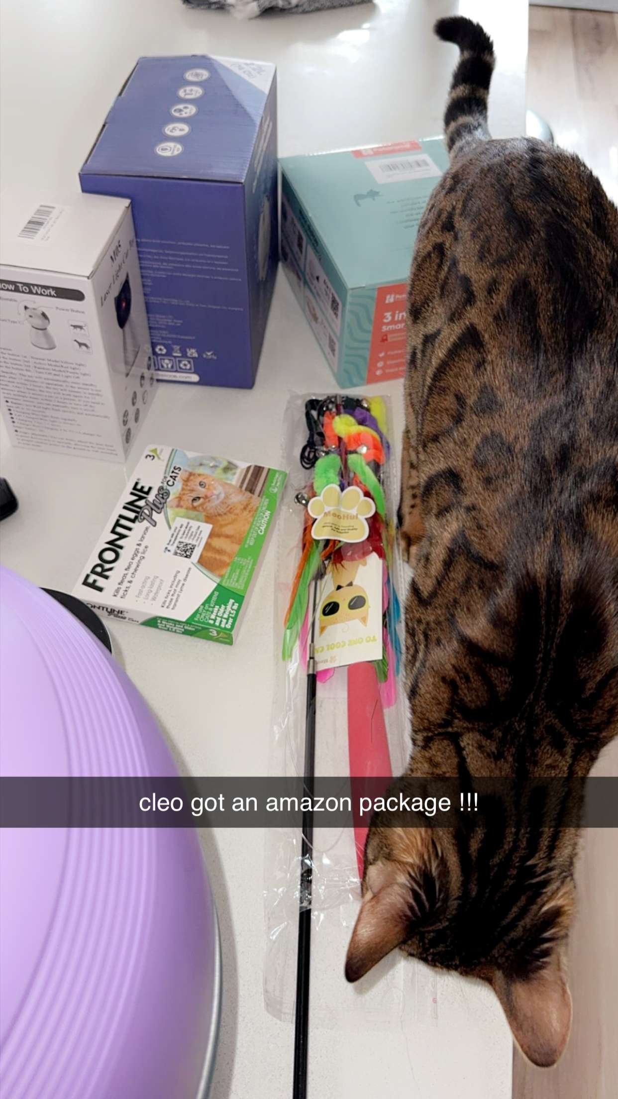 ameliabfit snapchat image archive image