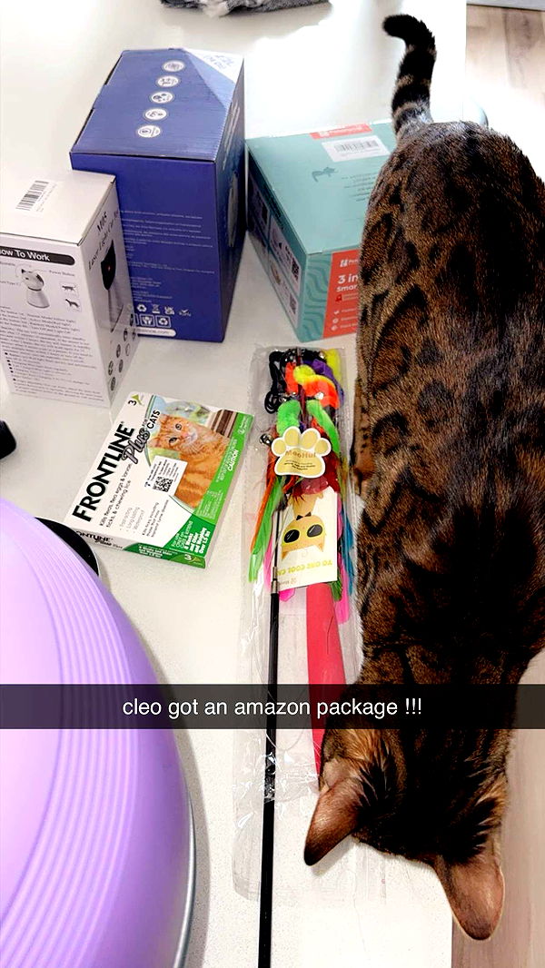 ameliabfit image ~ Altpins