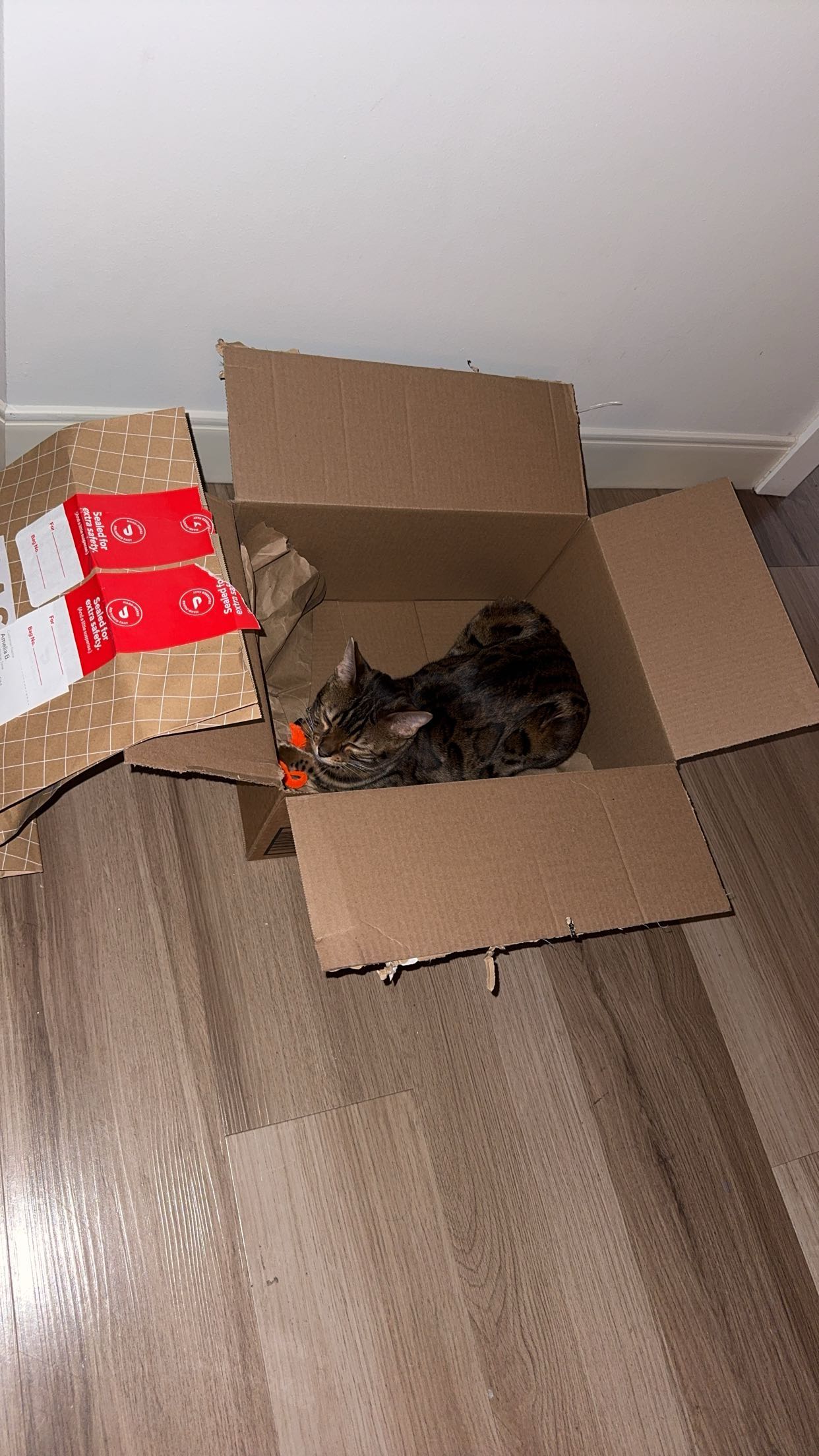 ameliabfit snapchat image archive image