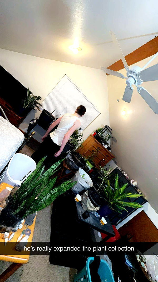 ameliabfit image ~ Altpins