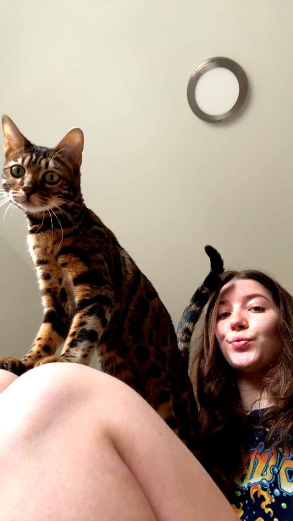 ameliabfit image ~ Altpins