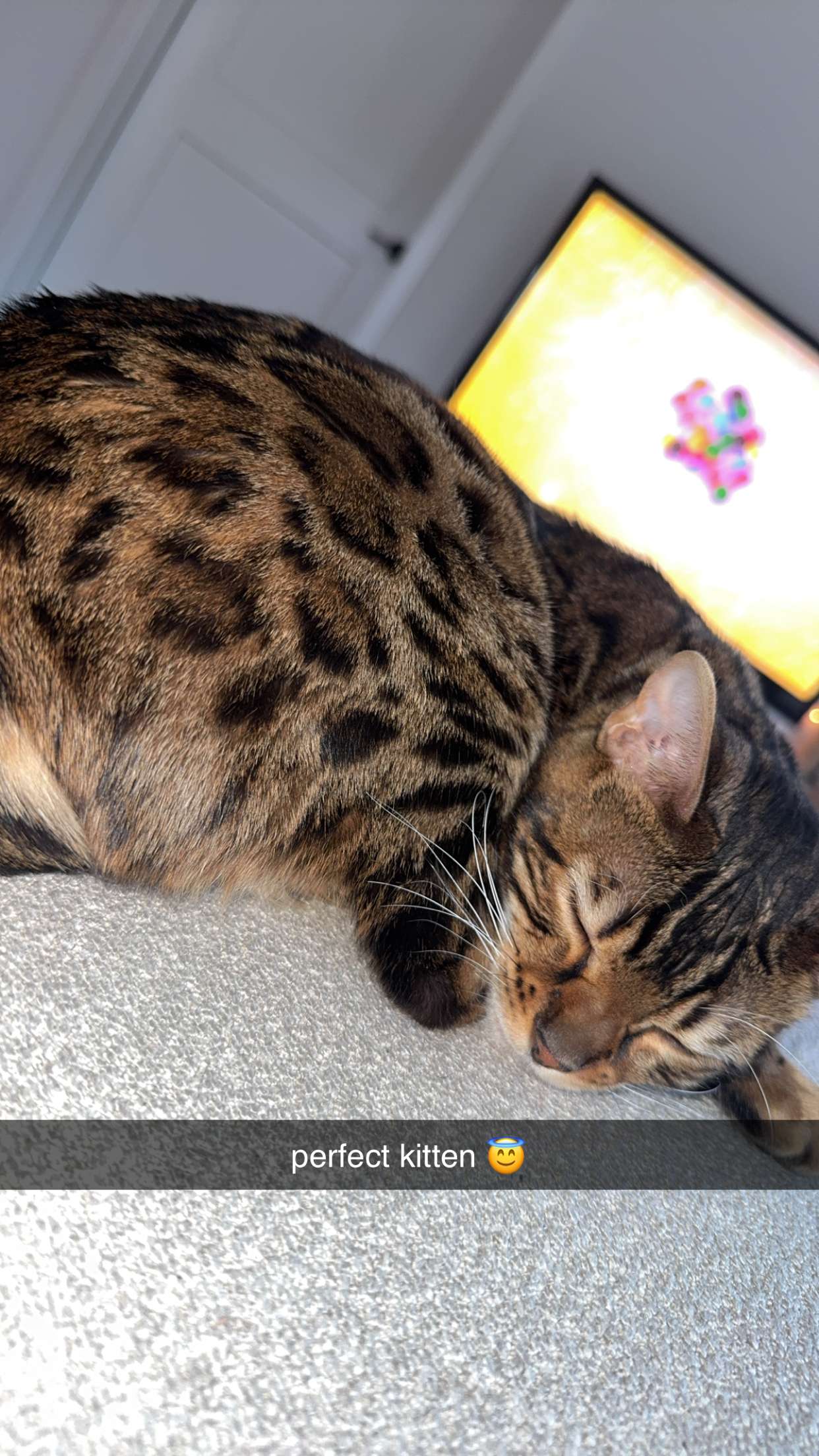 ameliabfit snapchat image archive image