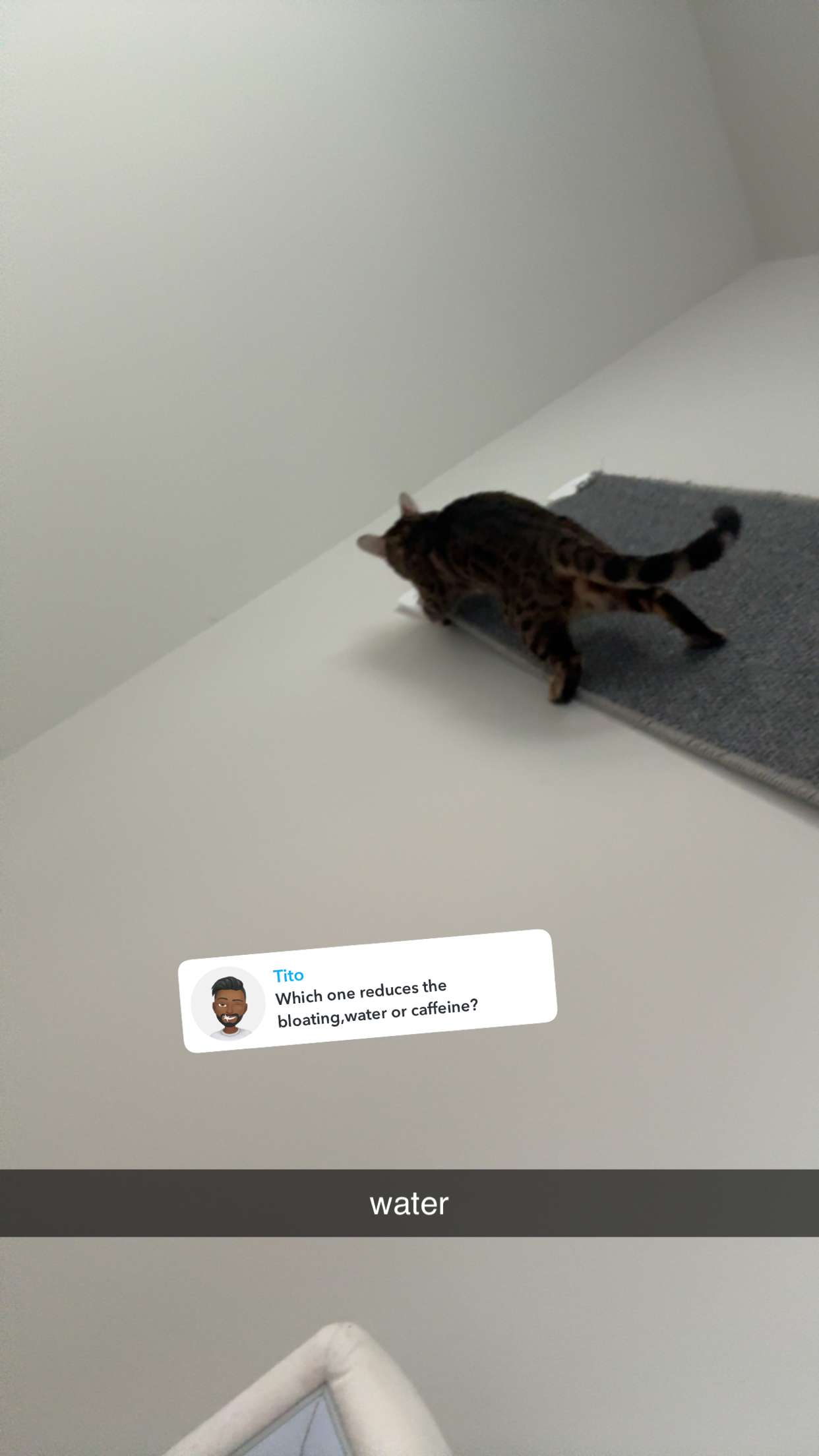 ameliabfit snapchat image archive image