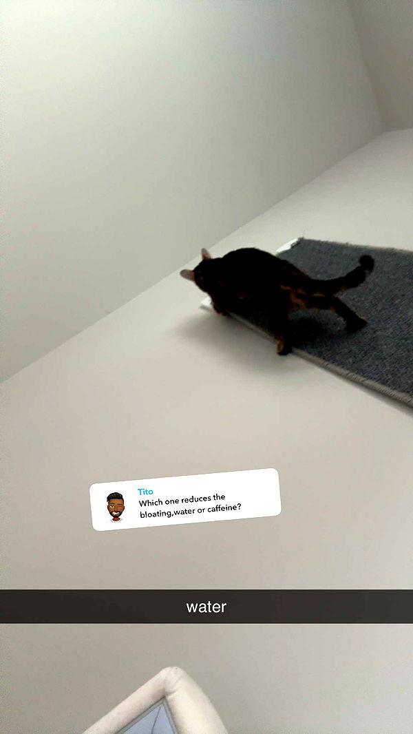 ameliabfit image ~ Altpins