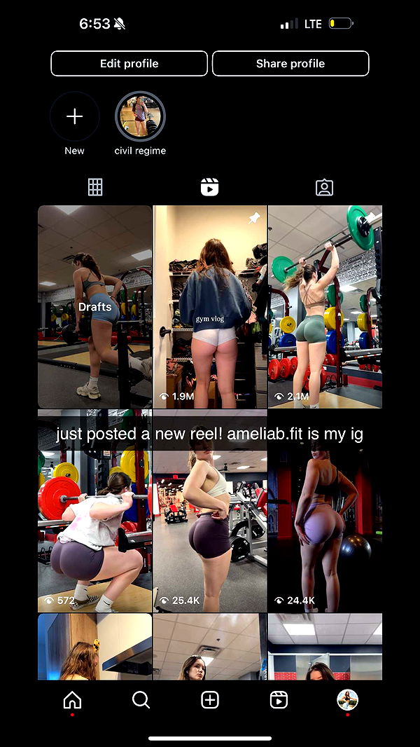 ameliabfit image ~ Altpins