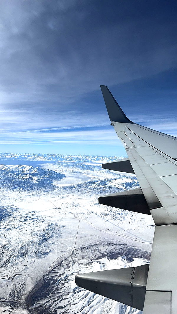 ameliabfit image ~ Altpins