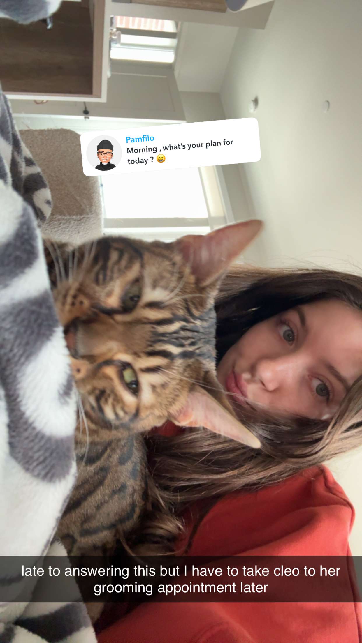 ameliabfit snapchat image archive image