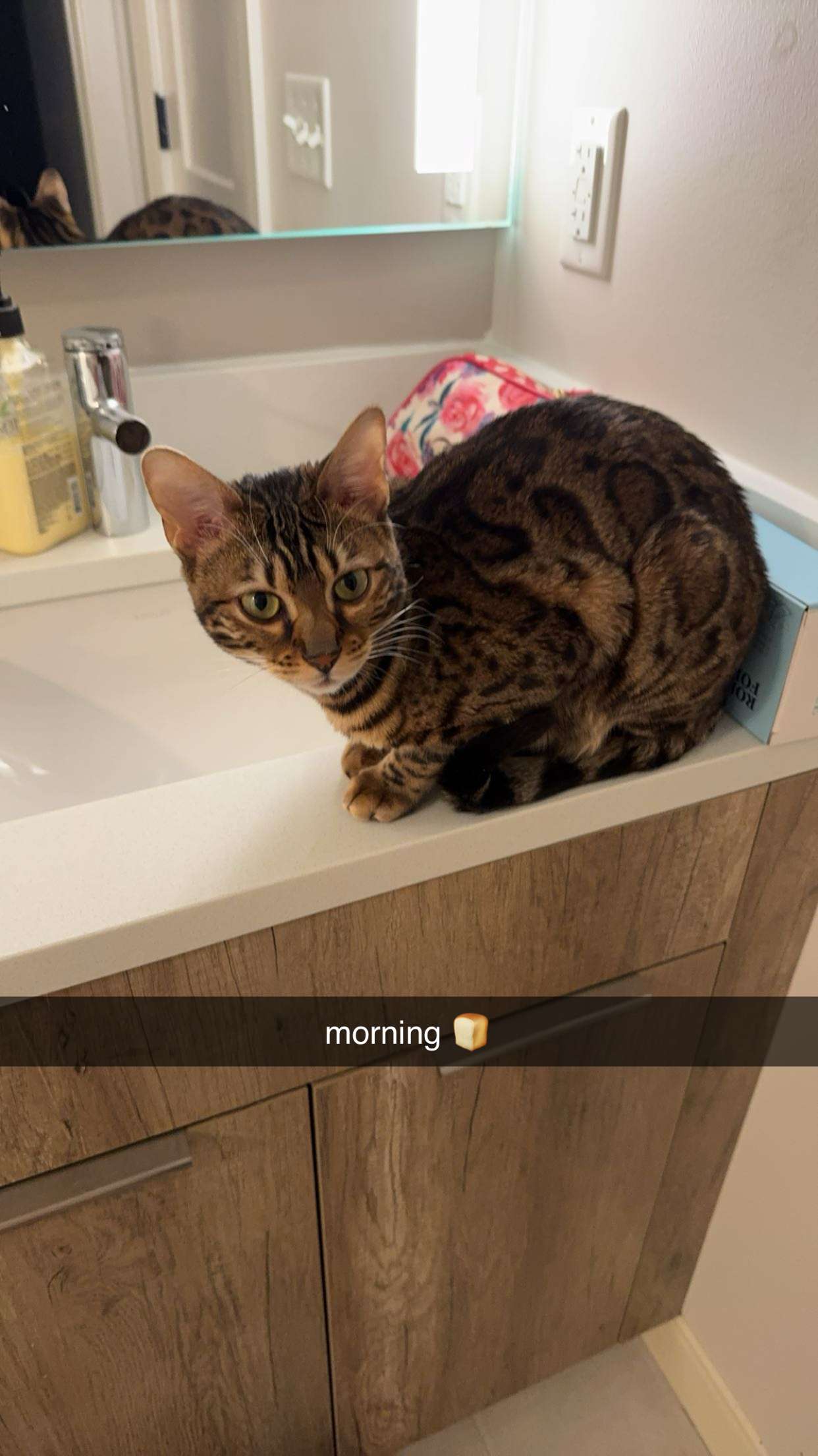 ameliabfit snapchat image archive image