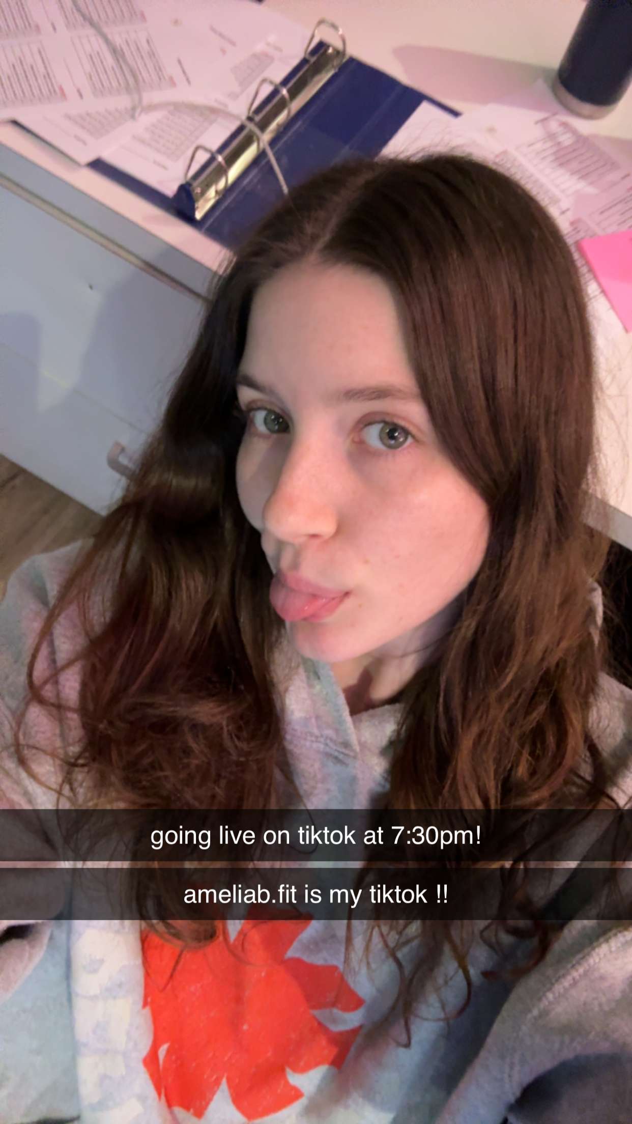 ameliabfit snapchat image archive image