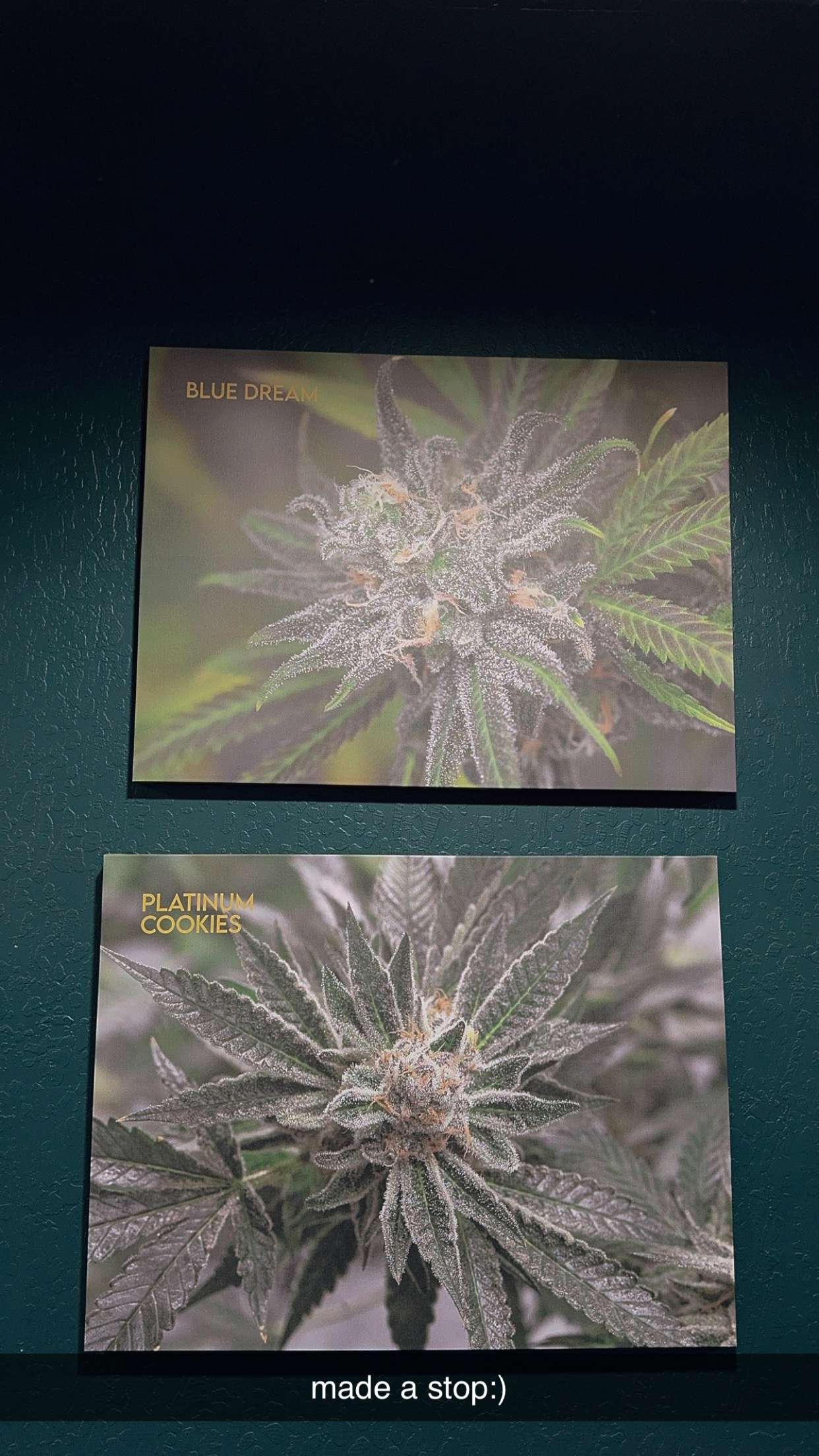 ameliabfit snapchat image archive image