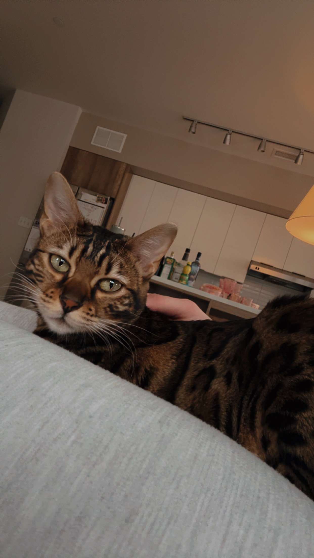 ameliabfit snapchat image archive image