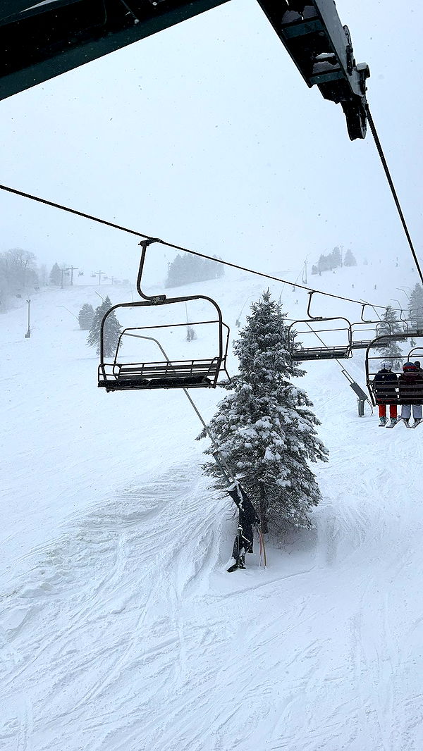 ameliabfit image ~ Altpins