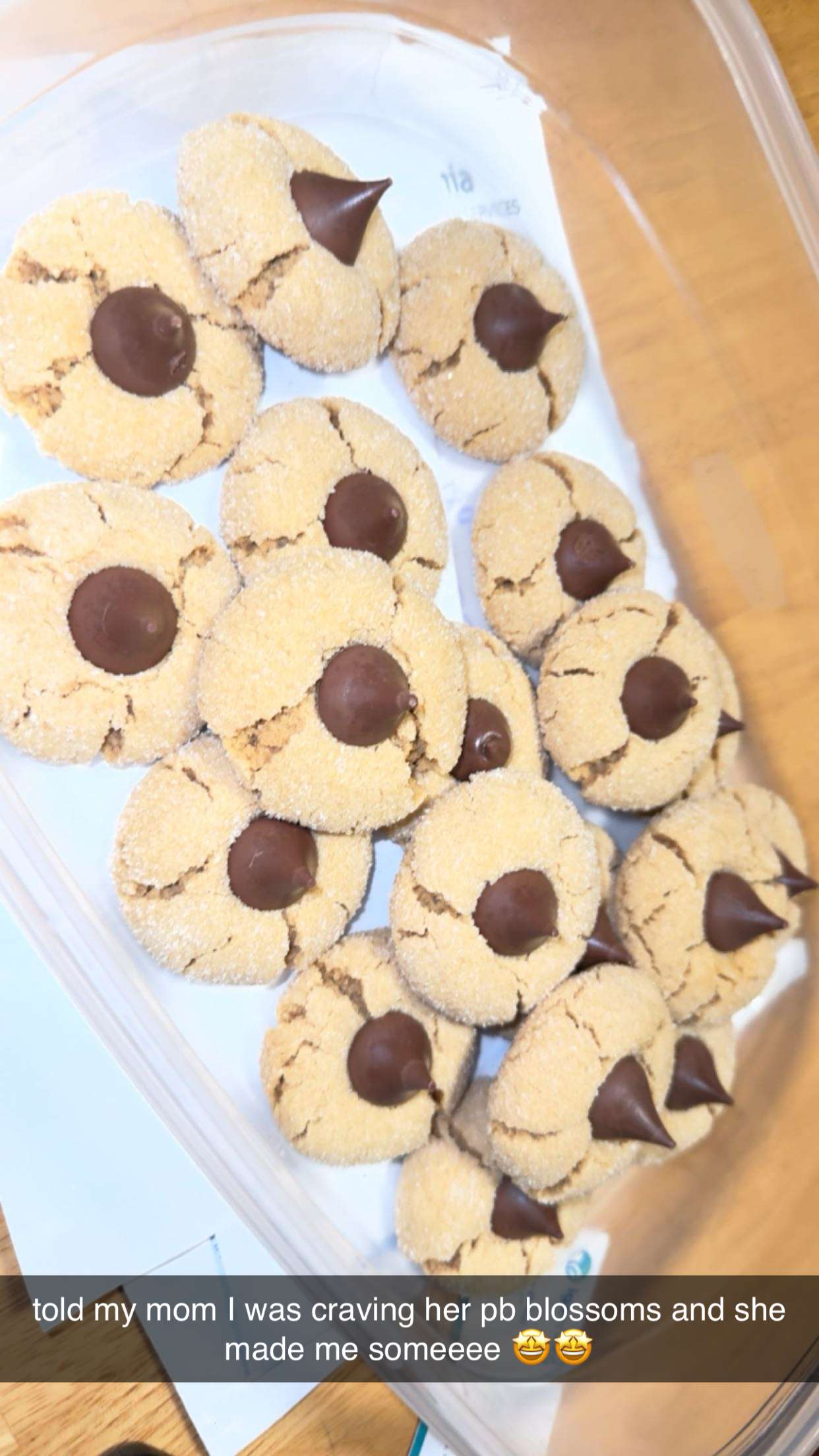 ameliabfit snapchat image archive image