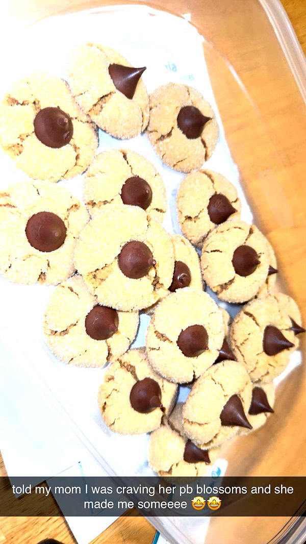 ameliabfit image ~ Altpins