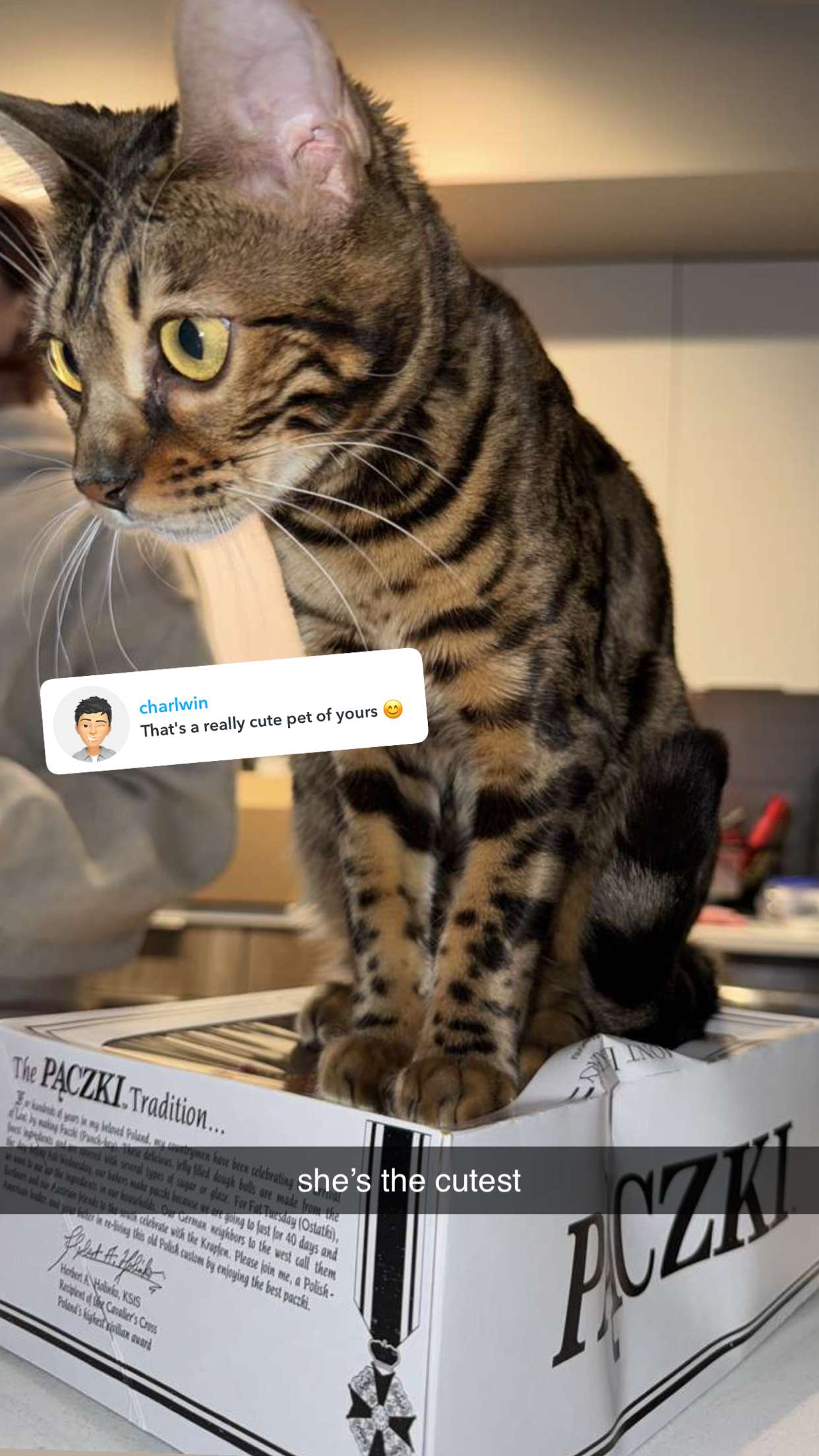 ameliabfit snapchat image archive image