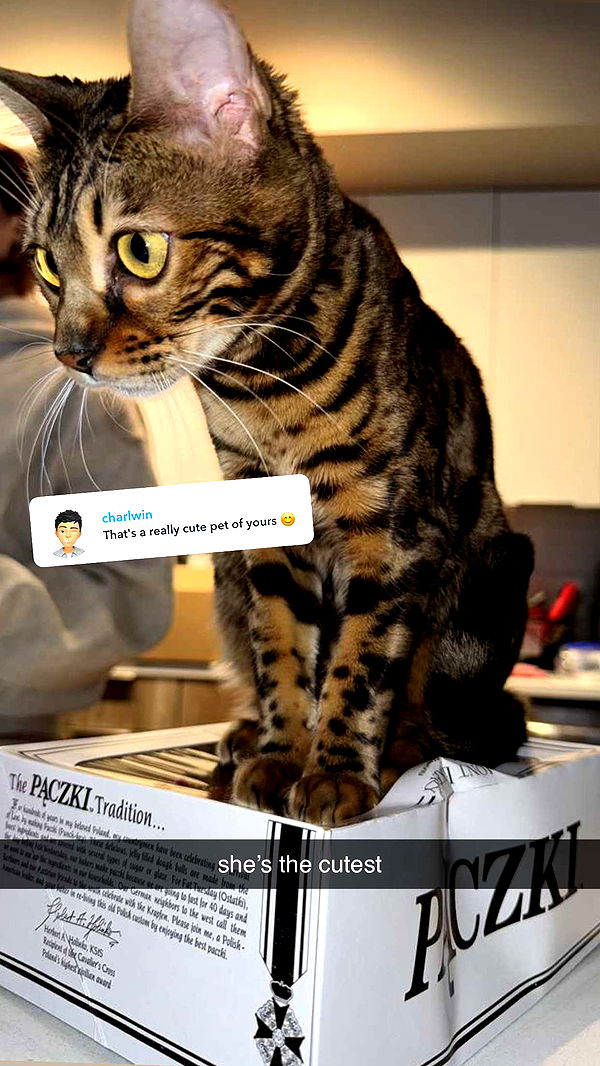 ameliabfit image ~ Altpins