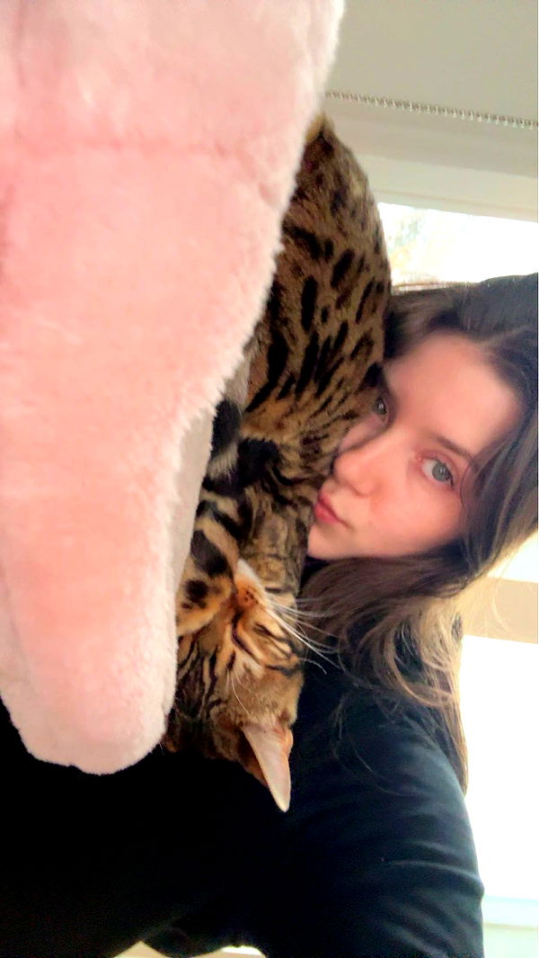 ameliabfit image ~ Altpins