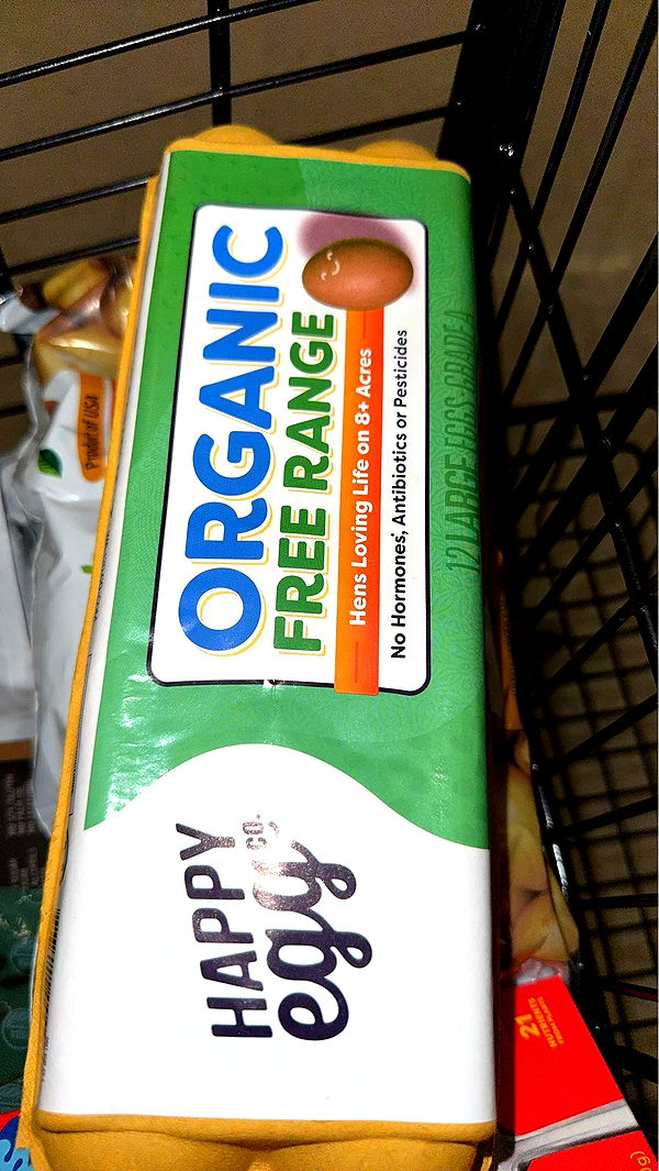 ameliabfit image ~ Altpins