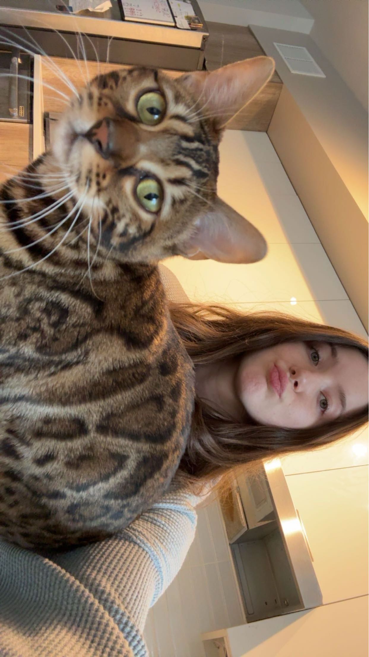 ameliabfit snapchat image archive image