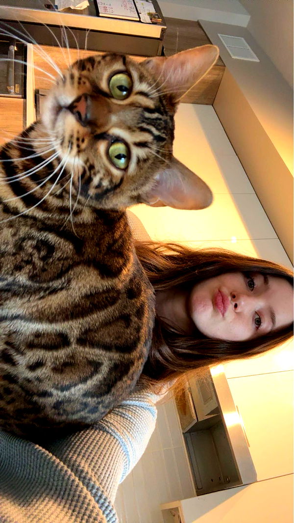 ameliabfit image ~ Altpins